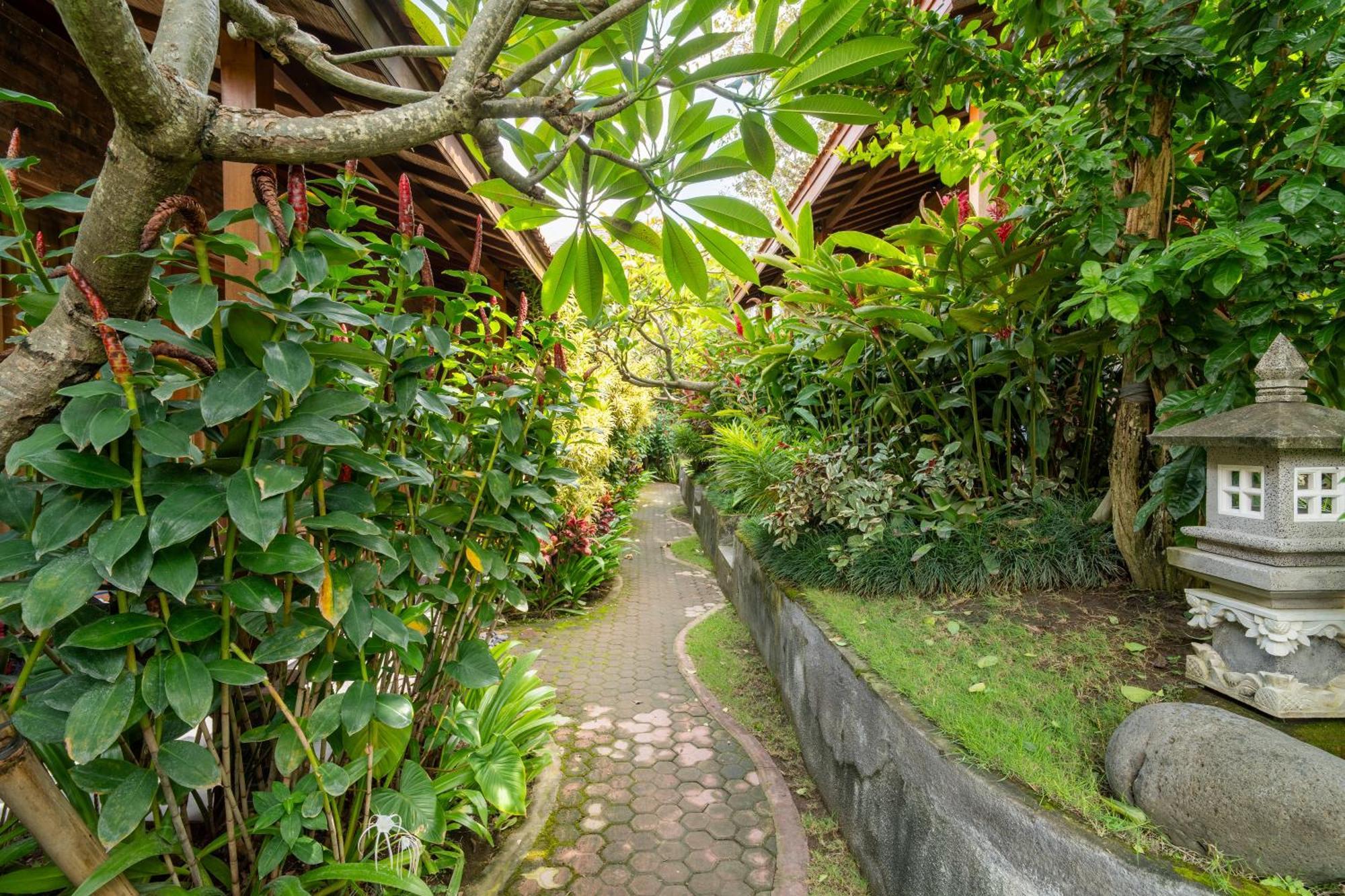 Jinar Guest House Canggu Zewnętrze zdjęcie